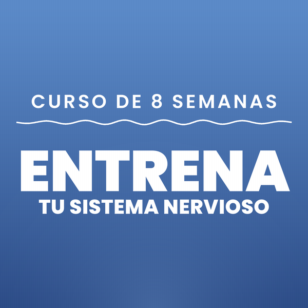 Curso de Mindfulness 8 Semanas — Entrena tu Sistema Nervioso